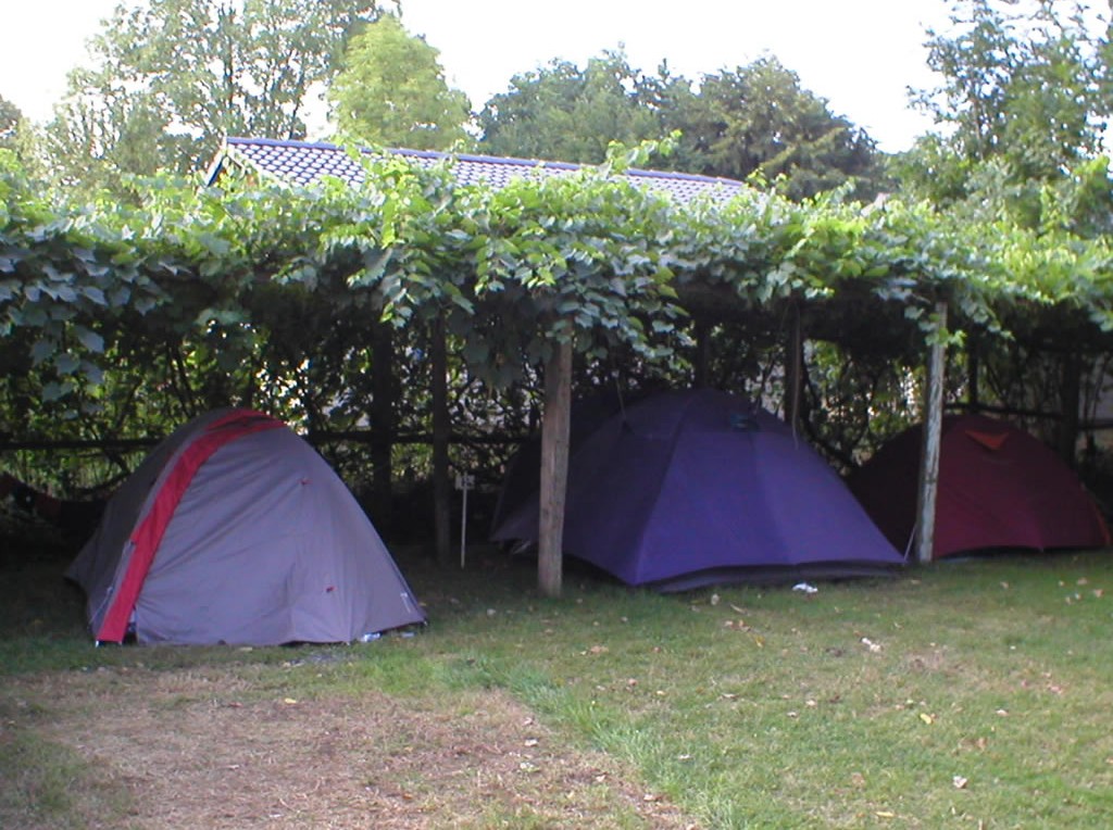 Tonnelle naturelle pour les campements en tentes