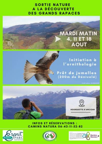 A la découverte des grands rapaces